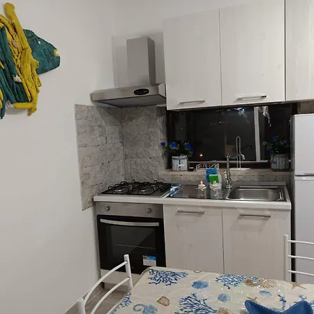 Perla * マルツァメミ