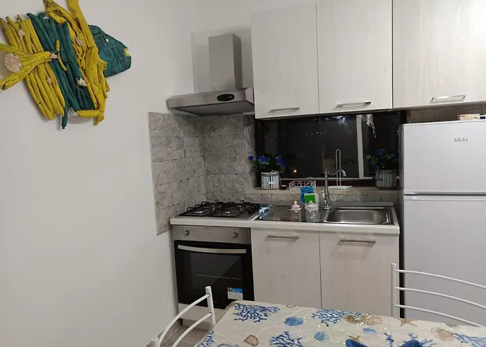 Perla * 马尔扎梅米